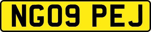 NG09PEJ