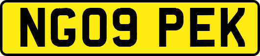 NG09PEK