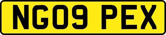 NG09PEX
