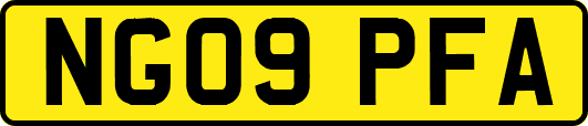NG09PFA