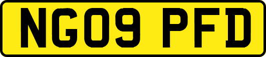 NG09PFD
