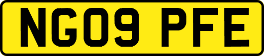 NG09PFE