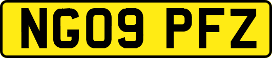 NG09PFZ
