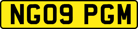 NG09PGM