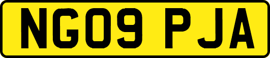 NG09PJA