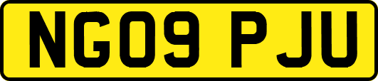 NG09PJU