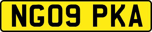 NG09PKA