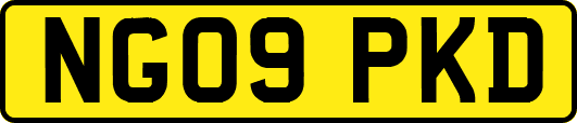 NG09PKD