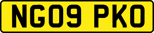 NG09PKO