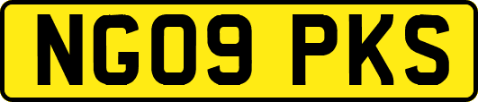 NG09PKS