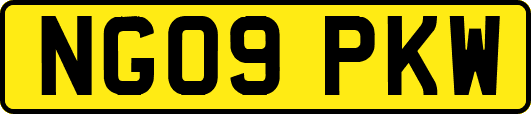 NG09PKW