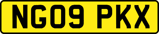 NG09PKX