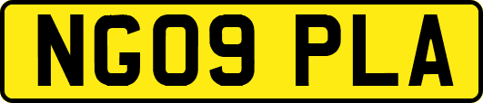NG09PLA