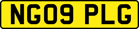 NG09PLG