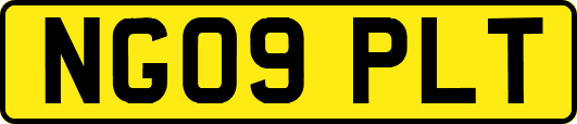 NG09PLT