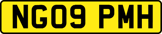 NG09PMH