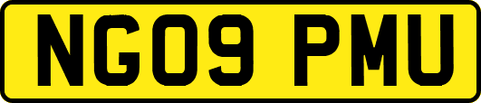 NG09PMU