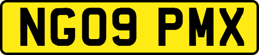 NG09PMX