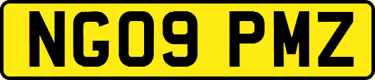 NG09PMZ