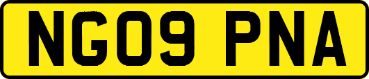 NG09PNA