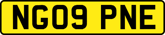 NG09PNE