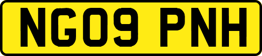 NG09PNH