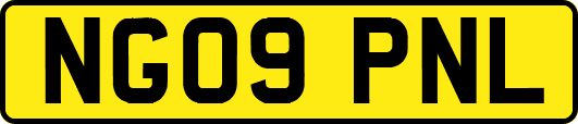 NG09PNL