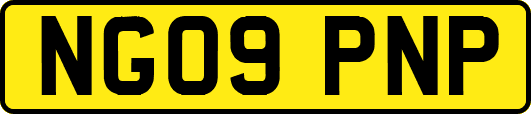 NG09PNP