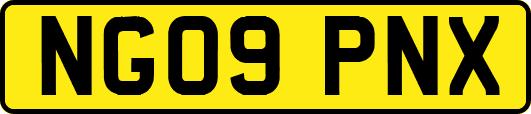 NG09PNX