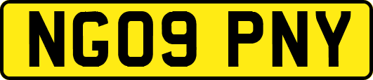 NG09PNY