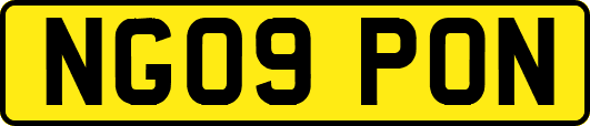 NG09PON
