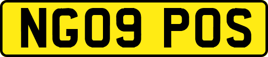 NG09POS