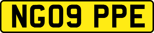 NG09PPE