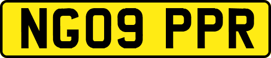 NG09PPR
