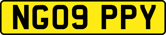 NG09PPY