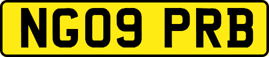 NG09PRB
