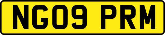 NG09PRM