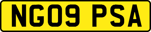 NG09PSA
