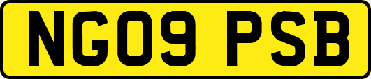 NG09PSB