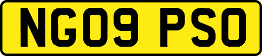NG09PSO