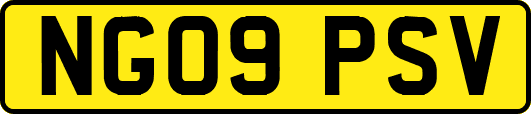 NG09PSV