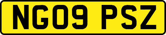 NG09PSZ