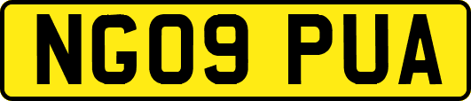 NG09PUA