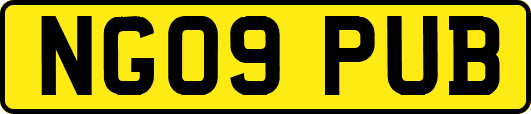 NG09PUB