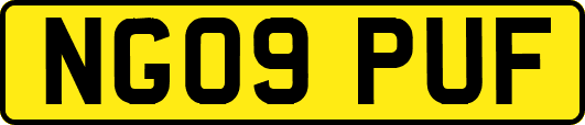 NG09PUF