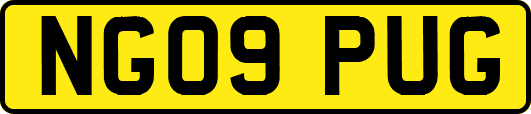 NG09PUG