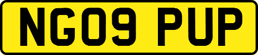 NG09PUP