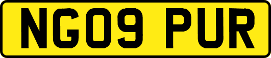NG09PUR