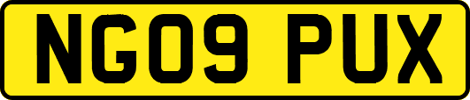 NG09PUX