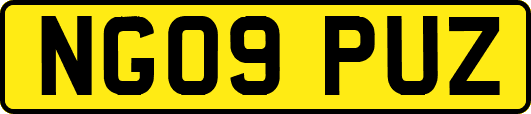 NG09PUZ
